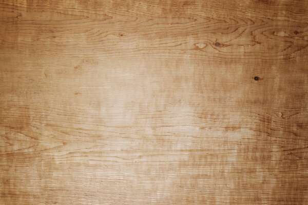 Крупный план дерева
