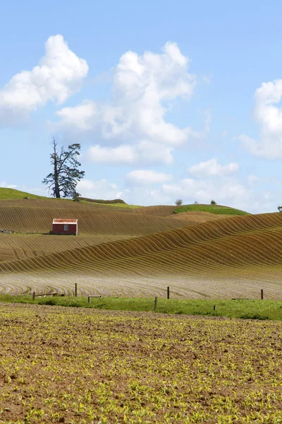 Grange dans le champ — Photo