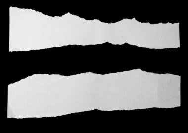 yırtık kağıt parçaları 