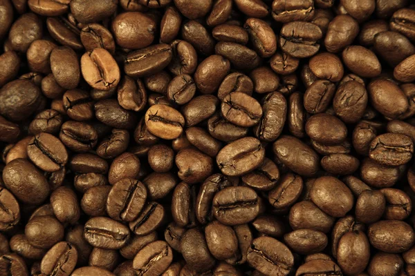 Granos de café primer plano — Foto de Stock