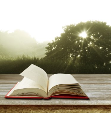 Masanın üzerinde kitabı aç