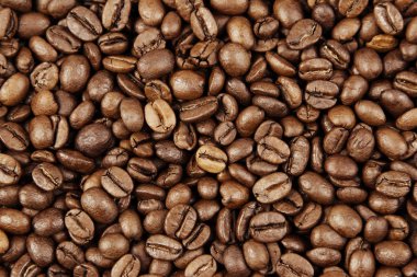 Kavrulmuş kahve çekirdeği.