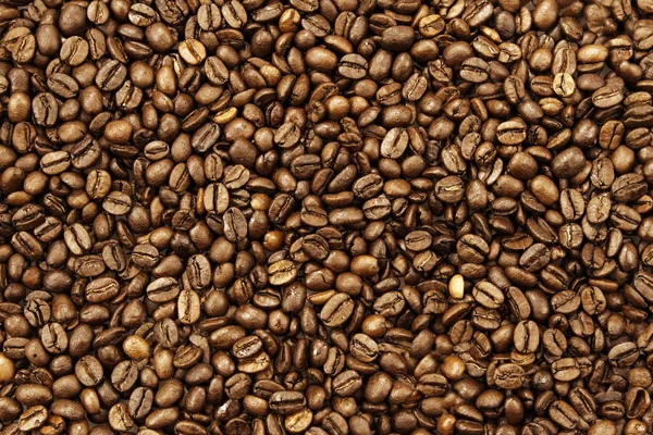 Gebrande koffiebonen — Stockfoto