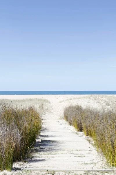 Beach path view — Stock Photo, Image