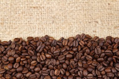 kahve çekirdekleri ehlileştirmek üzerinde