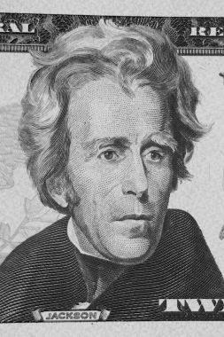 Andrew Jackson detay