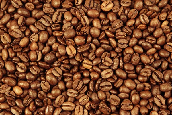 Roasted coffee beans — Stock Photo, Image