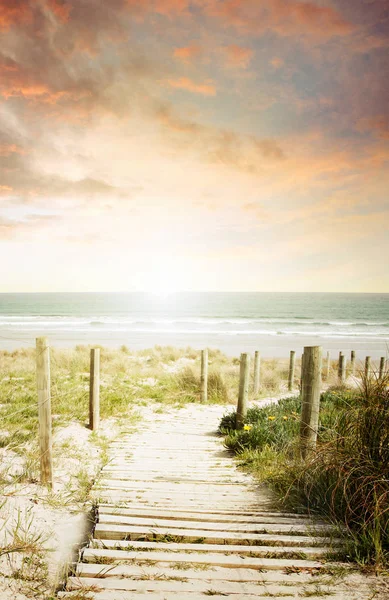 Caminho e vista para a praia — Fotografia de Stock