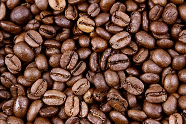 Roasted coffee beans — Stock Photo, Image