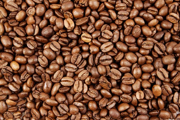 Pörkölt kávébab — Stock Fotó