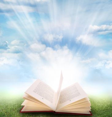 Çimenler üzerine açık kitap