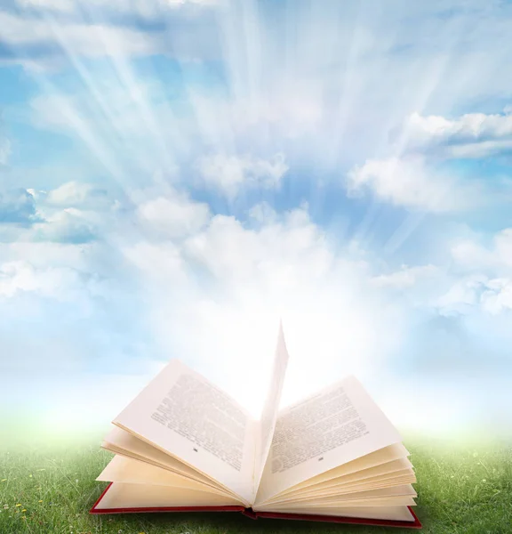 Open book on grass — Stock Photo, Image