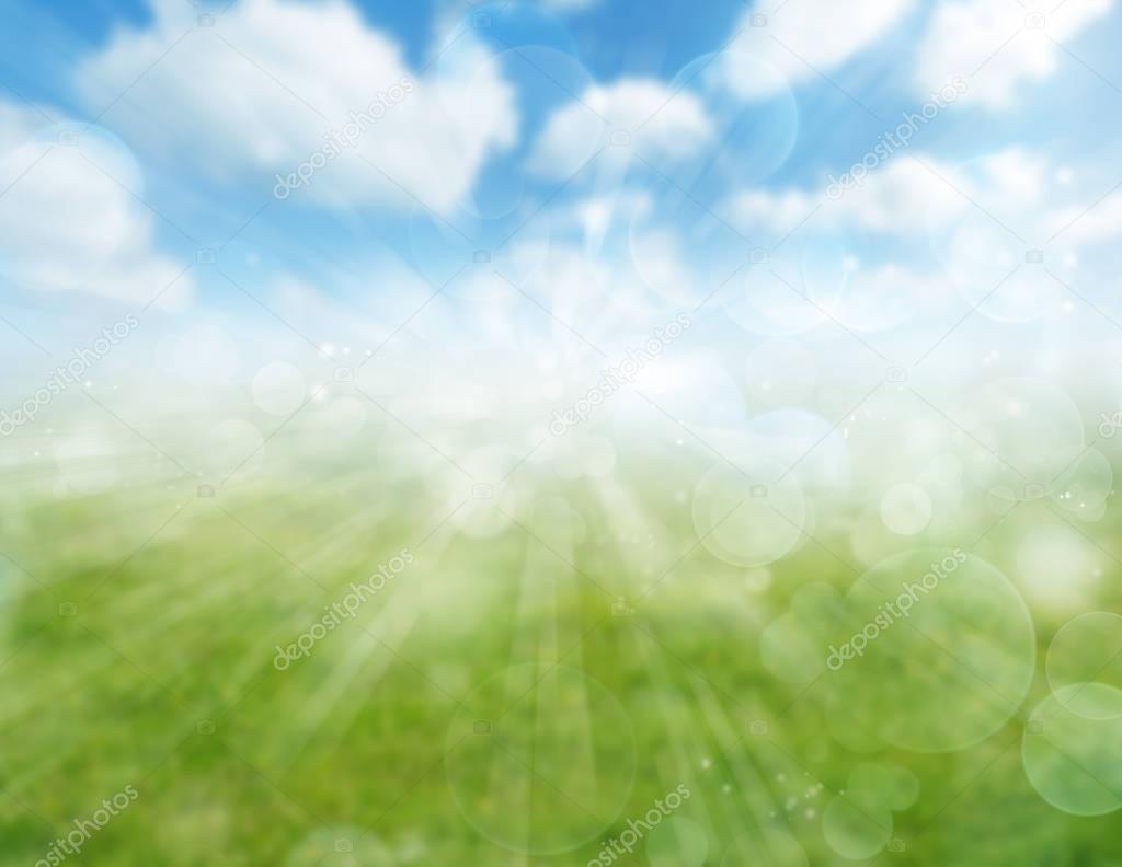 Spring grass and sky background