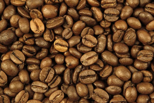 Roasted coffee beans — Stock Photo, Image