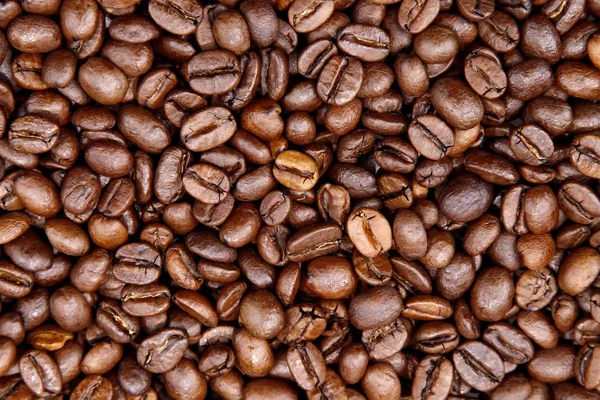 Koffiebonen detail — Stockfoto