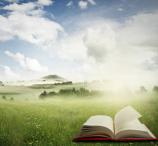 Open book in a meadow