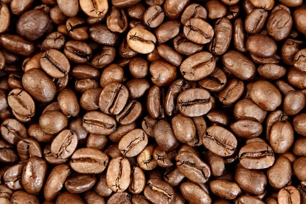 Roasted coffee beans — Stock Photo, Image