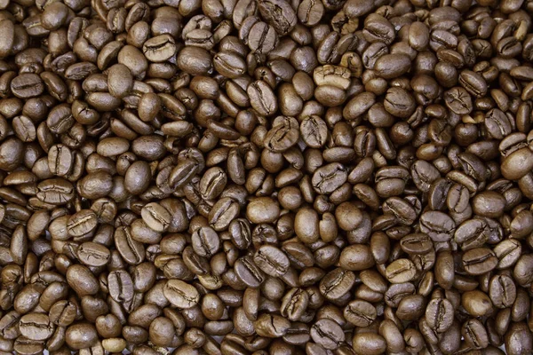 Grains de café torréfiés — Photo