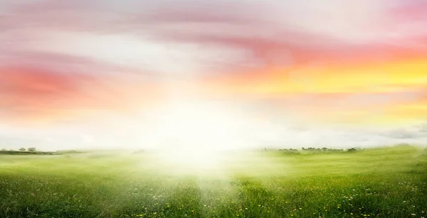 Grüne Wiese Und Strahlender Himmel — Stockfoto