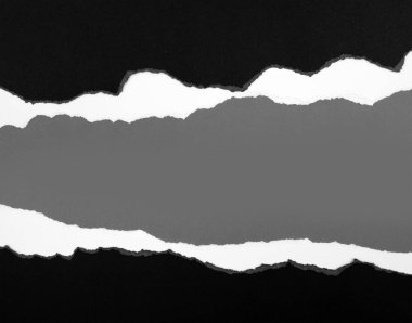 Gri arkaplan üzerinde yırtılmış kağıt, kopyalamak için boşluk