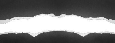 Düz arkaplanda yırtılmış kağıt, kopyalamak için boşluk