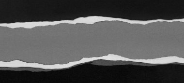 Gri arkaplan üzerinde yırtılmış kağıt, kopyalamak için boşluk