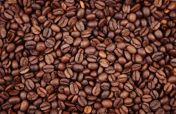 Kavrulmuş Kahve Çekirdekleri — Stok fotoğraf