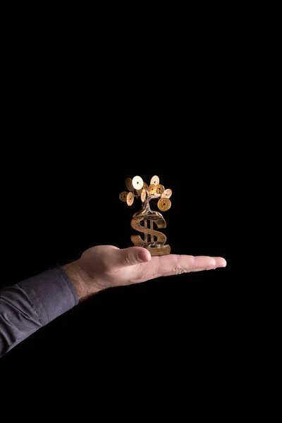 Árvore de dinheiro em uma palma — Fotografia de Stock