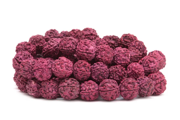 A Szent Rudraksha fa magjai — Stock Fotó