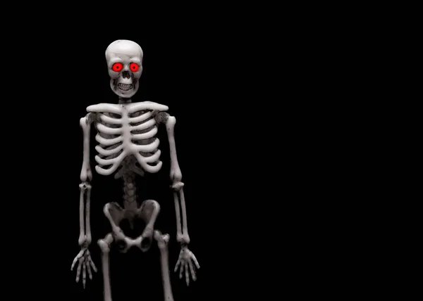 A figura do esqueleto humano . — Fotografia de Stock