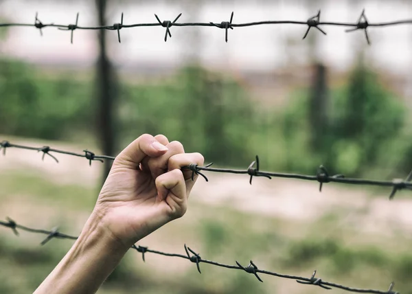 Closed area. Hand and railing with barbed wire. — Stock Photo, Image