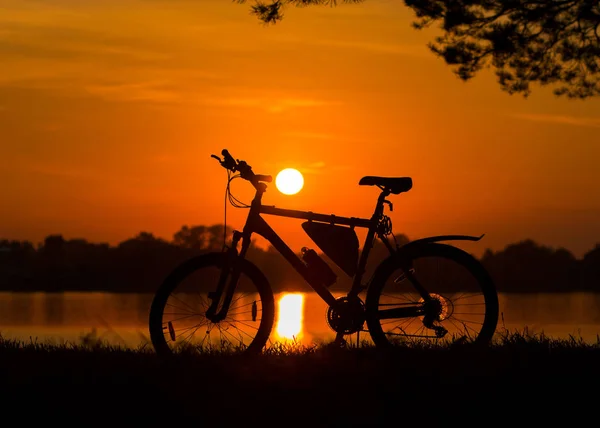 Bicycle standing under a tree near the lake. — Stock Photo, Image