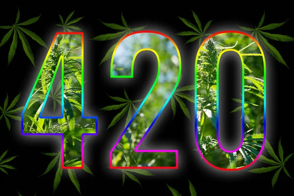 420 Stock Photos, Royalty Free 420 Images
