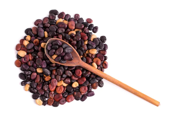 Setumpuk Kacang Kering Dari Varietas Yang Berbeda Dengan Sendok Kayu — Stok Foto