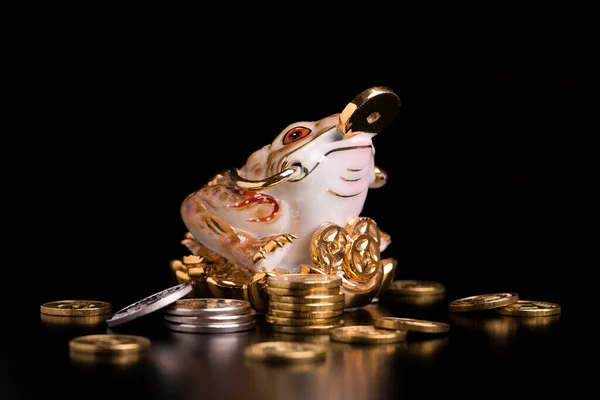 Золотая Жаба Монеты Концепция Символ Денежного Успеха Процветания — стоковое фото
