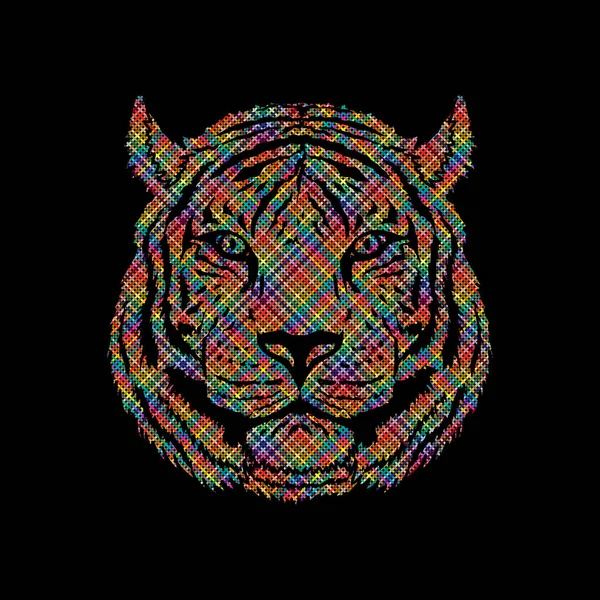 虎の顔のフロント ビュー — ストックベクタ