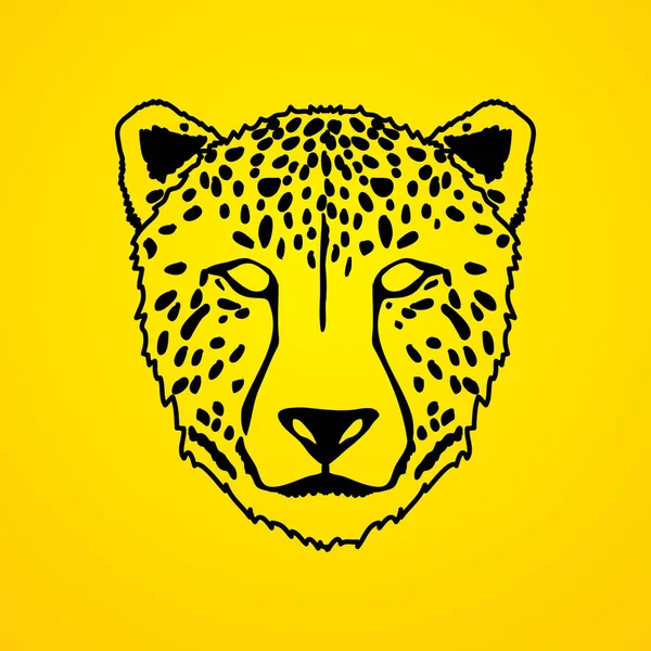 Cheetah Viso vista frontale — Vettoriale Stock