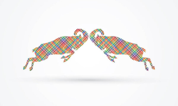 Битва двух ибексов
