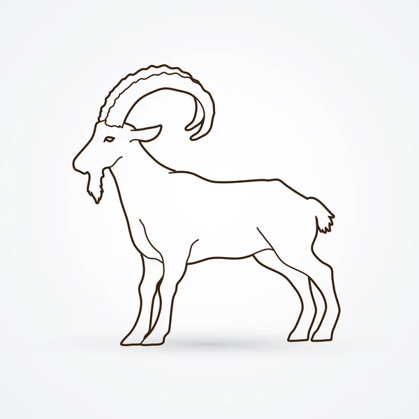 Goat standing vector — Stock Vector
