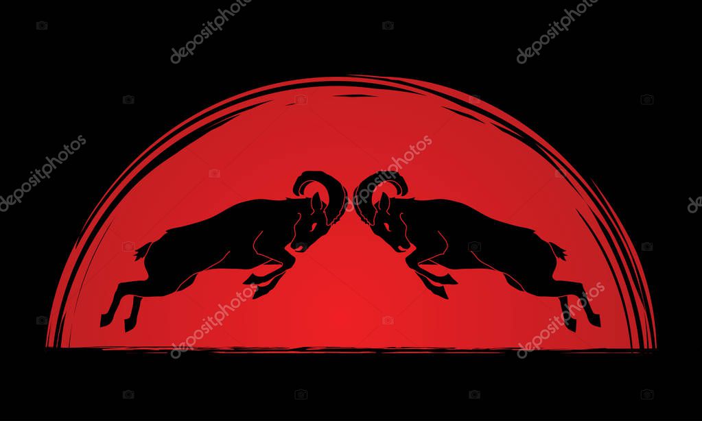 Ibexes fighting designed on sunset background graphic vector.