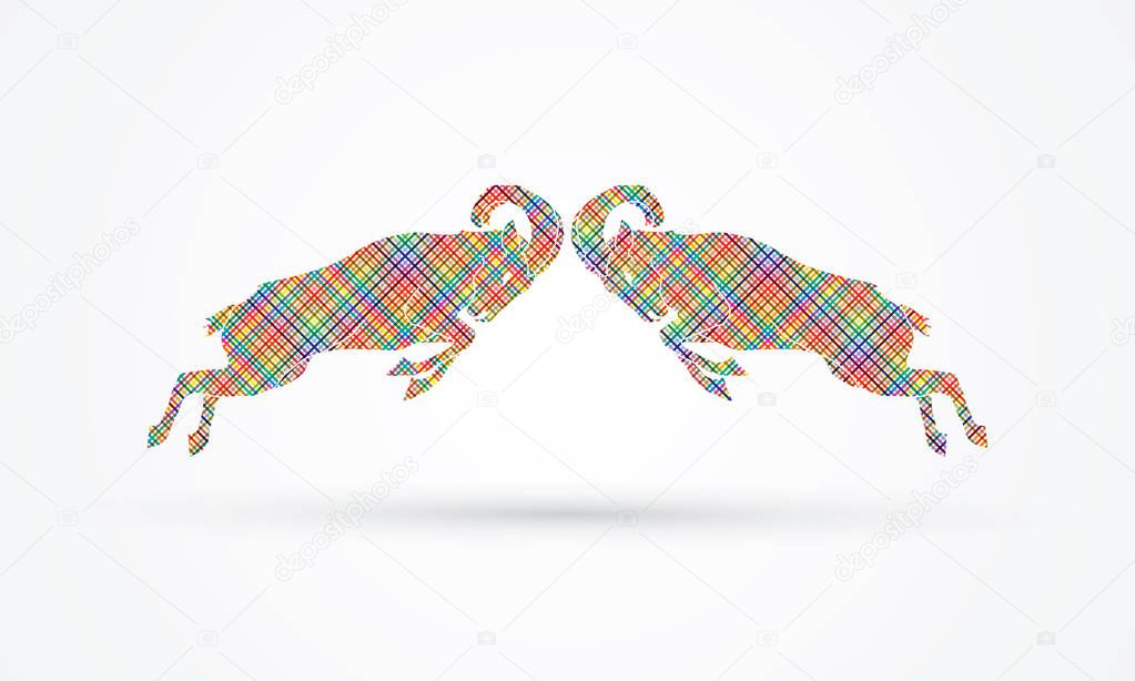 Ibexes fighting designed using colorful pattern graphic vector.