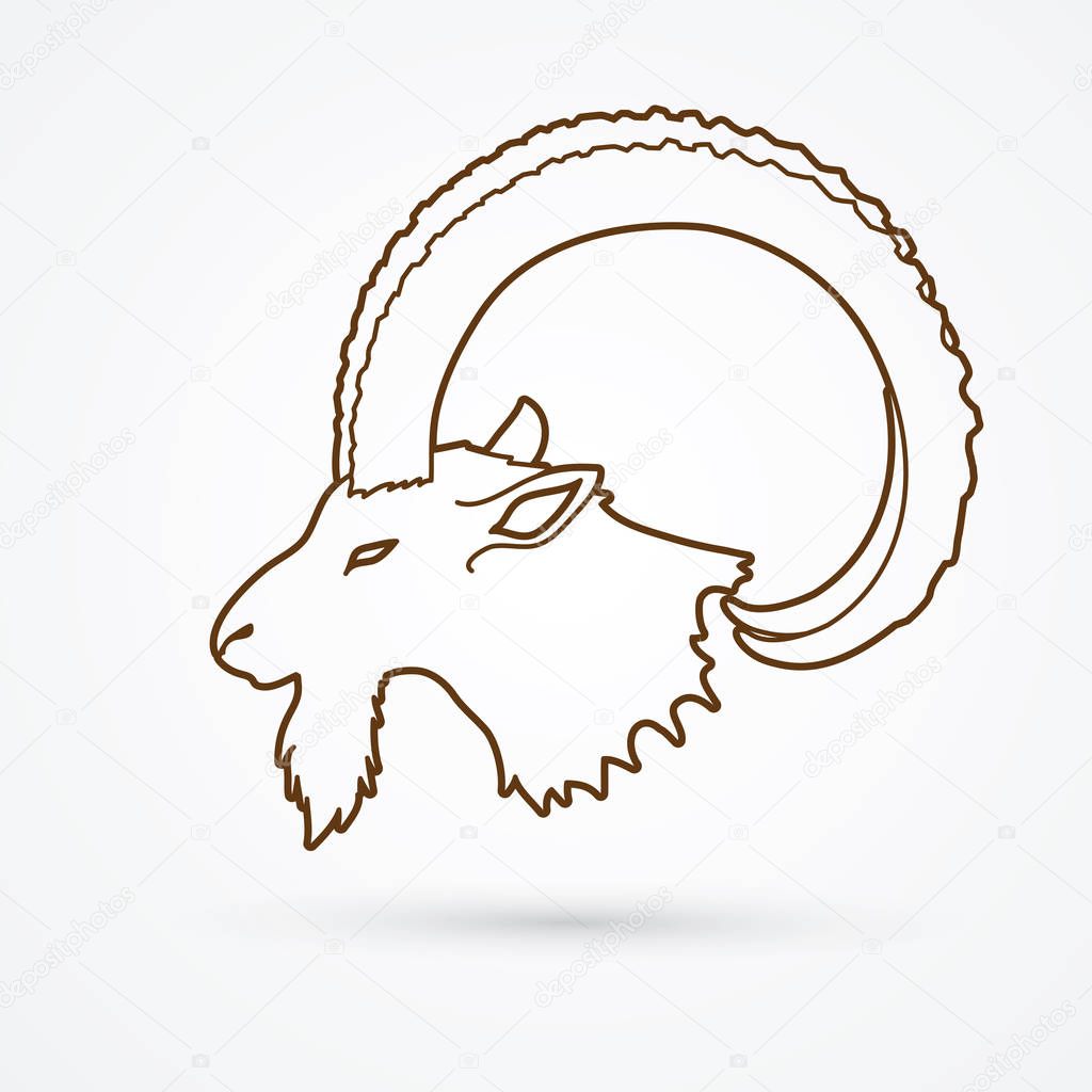 Ibex head with big horn outline graphic vector.