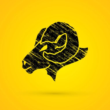 Büyük boynuzlu koyun kafa