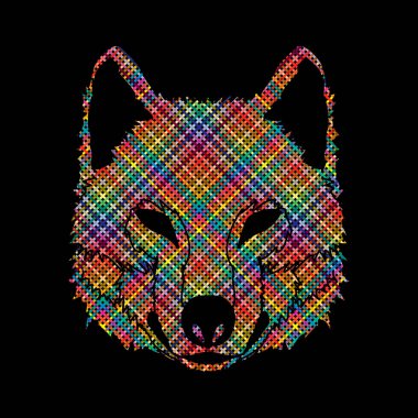 Kurt yüzü Önden Görünüm 