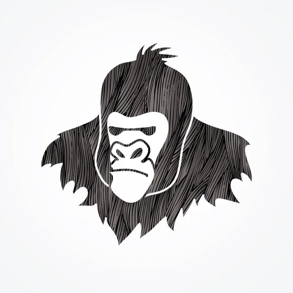 Gorilla Head Graphic — Stock Vector