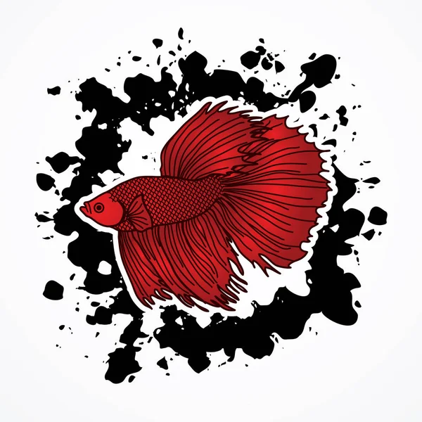 Siamese Fighting Fish — Stock Vector