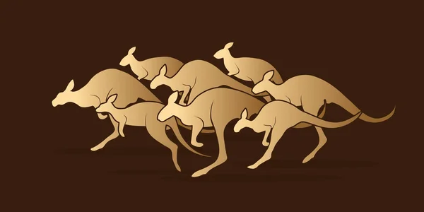 Group of kangaroo jumping — Stock Vector