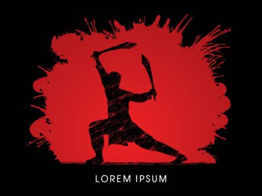 Kung Fu, Wushu kılıç poza sahip