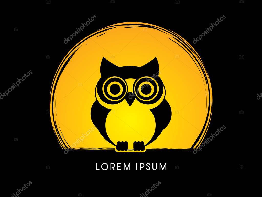 Owl front view graphic vector.