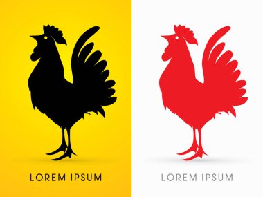 Horoz grafik vektör.